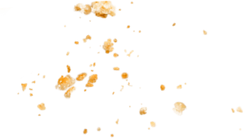 Either cornbread or muffin crumbs spread across a broken web page
